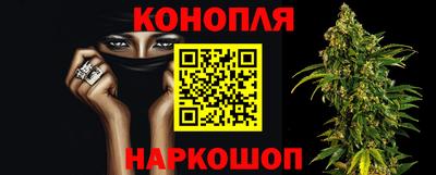 гидропоника Можайск