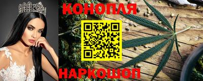 шишки Моздок