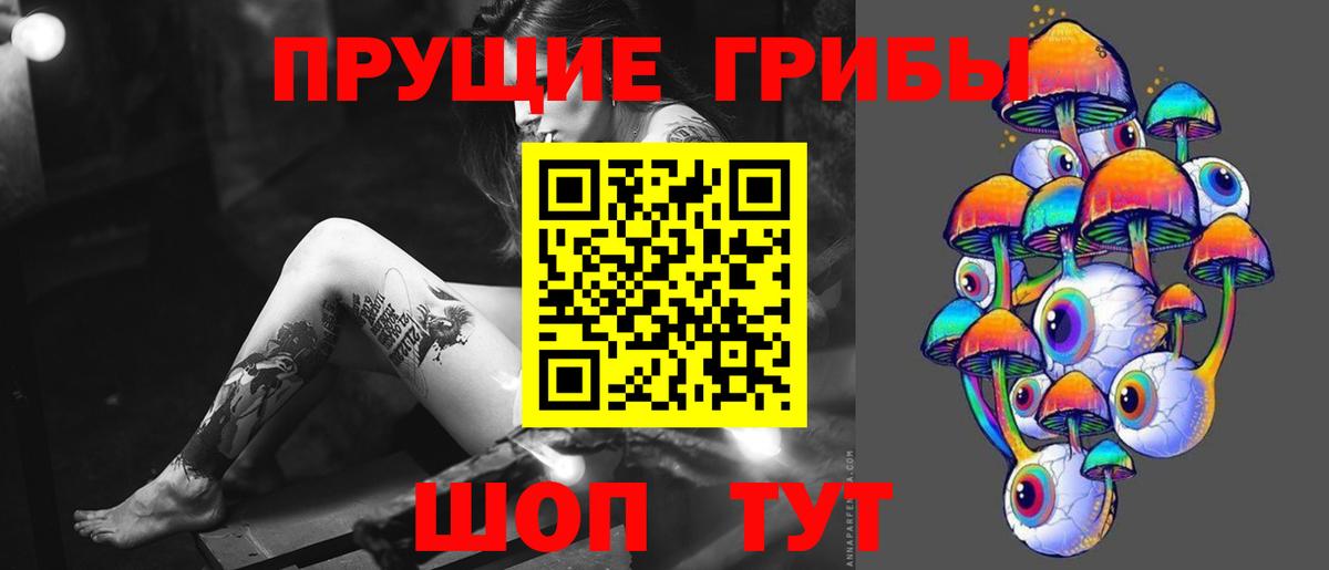 Галлюциногенные грибы прущие грибы  Вход с VPN  Тобольск  Галлюциногенные грибы Psilocybe 